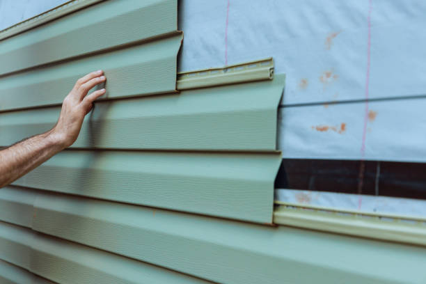 Best Custom Trim and Detailing for Siding  in Shady Shores, TX